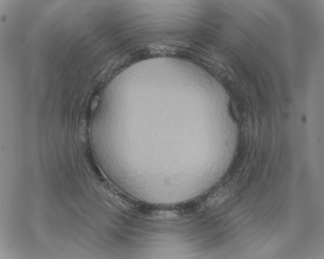 X0000068320649200605192034