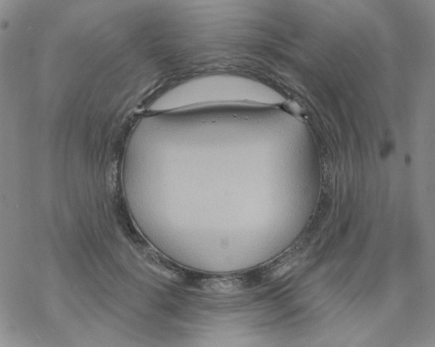 X0000068320652200605192034