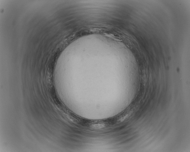 X0000068320653200605192034