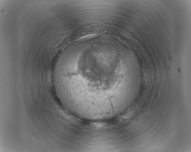 X0000068320654200605192034