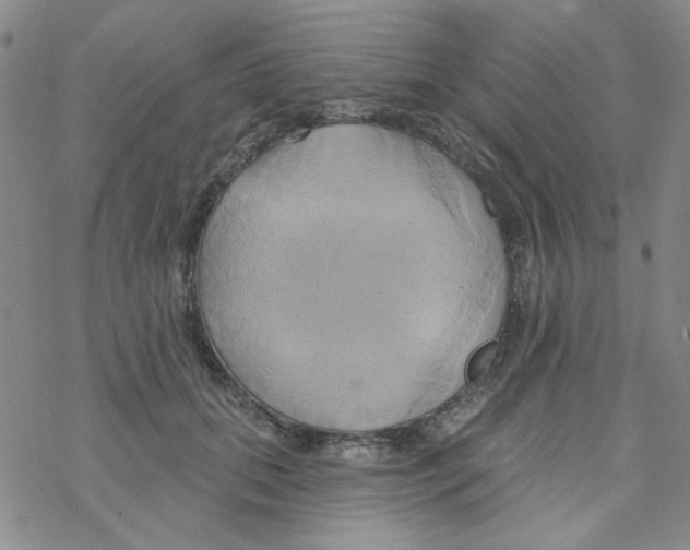 X0000068320655200605192034