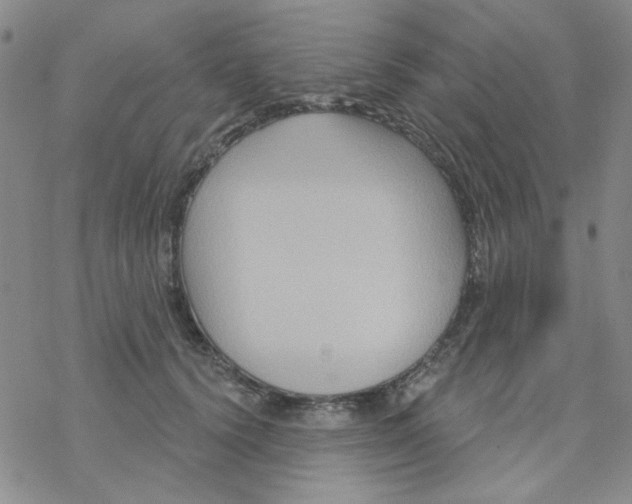 X0000068320656200605192034