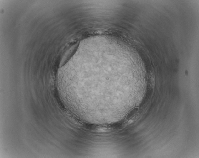 X0000068320657200605192034