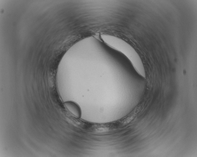 X0000068320658200605192034