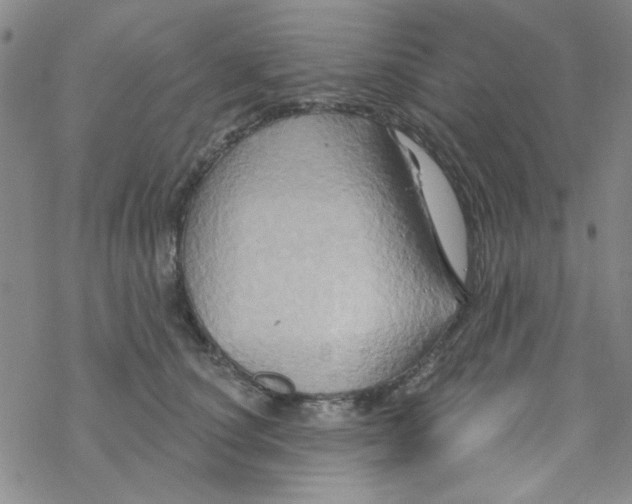 X0000068320660200605192034