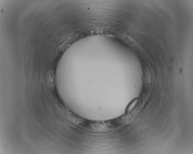 X0000068320661200605192034