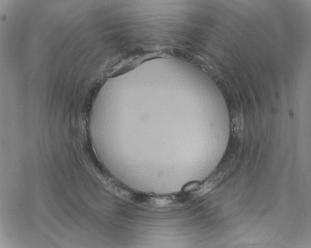 X0000068320662200605192034