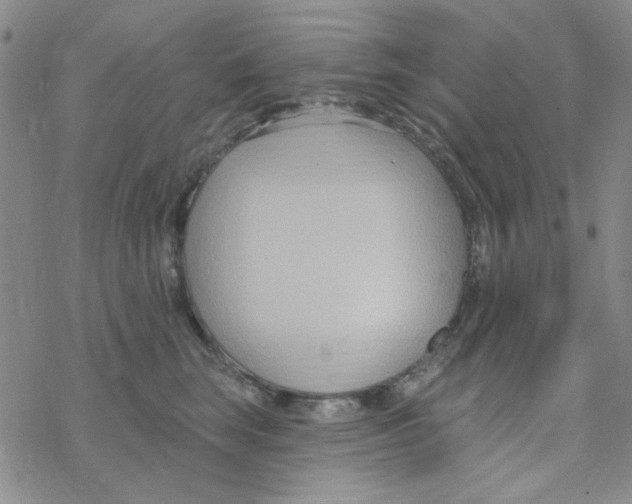 X0000068320663200605192034