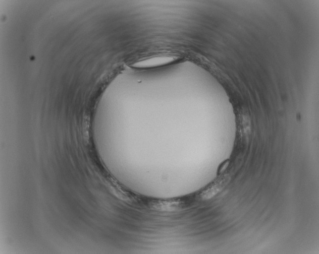 X0000068320664200605192034