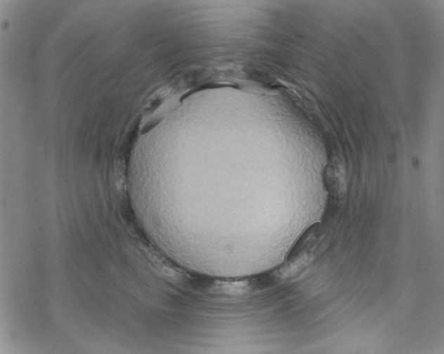 X0000068320665200605192034