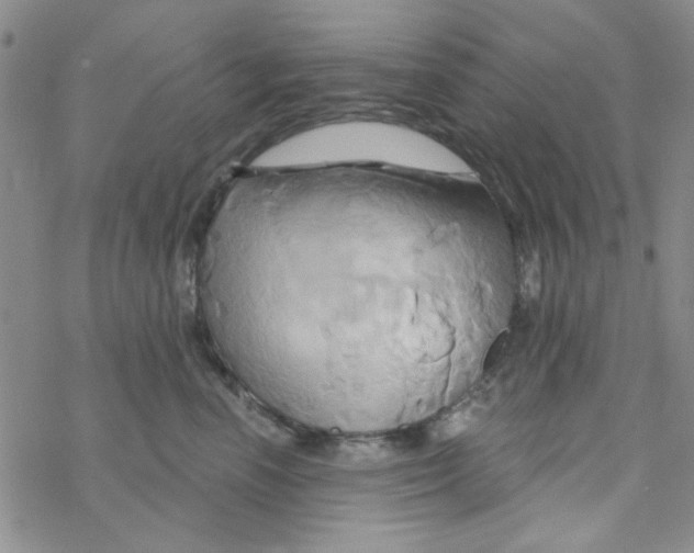 X0000068320666200605192034