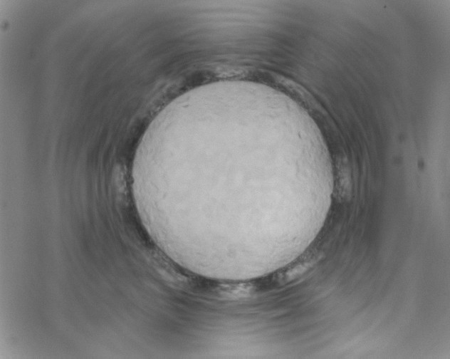 X0000068320667200605192034