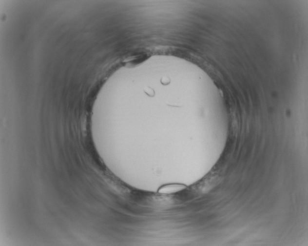 X0000068320668200605192034