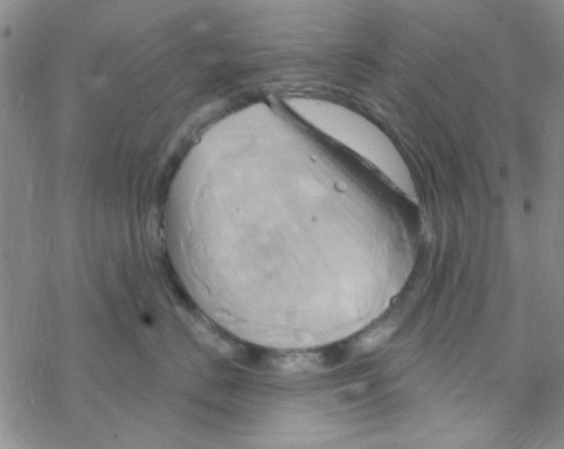 X0000068320670200605192034