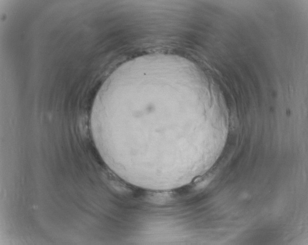 X0000068320671200605192034