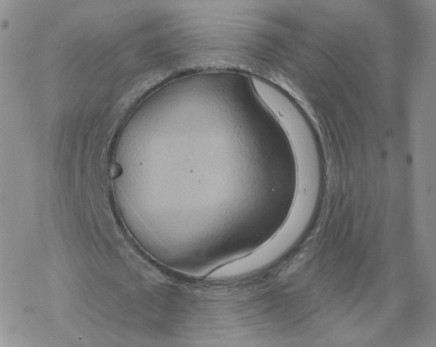 X0000068320673200605192034