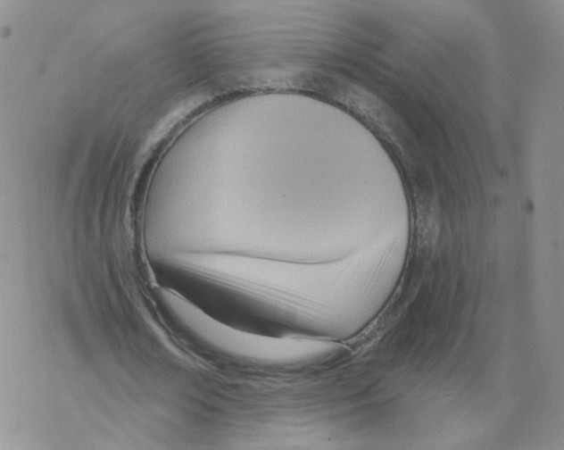 X0000068320674200605192034