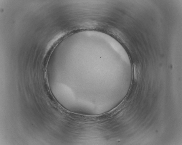 X0000068320675200605192034