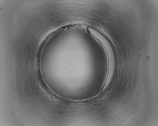 X0000068320676200605192034