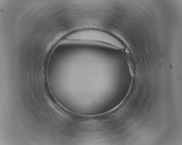 X0000068320677200605192034