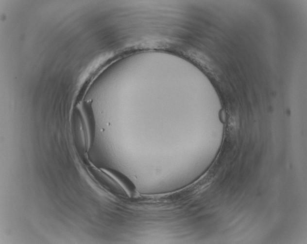 X0000068320678200605192034