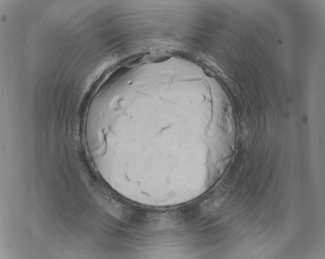 X0000068320679200605192034