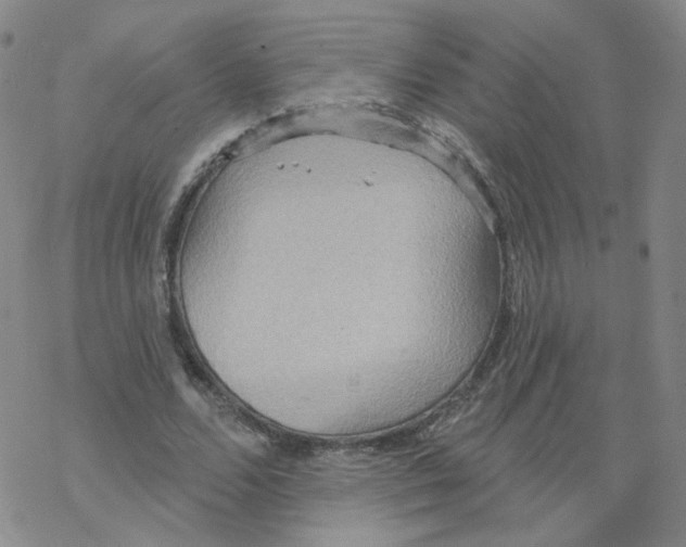 X0000068320680200605192034