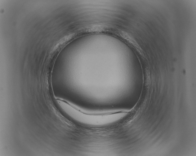 X0000068320681200605192034