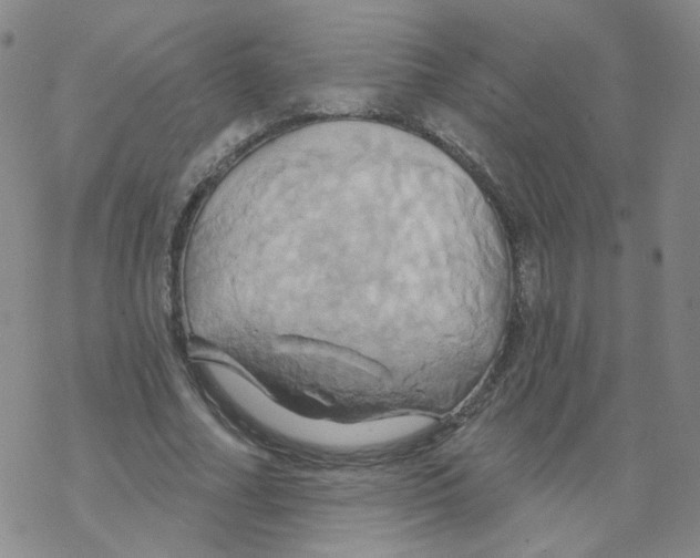 X0000068320682200605192034