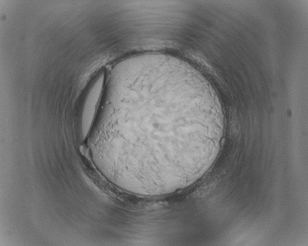 X0000068320683200605192034