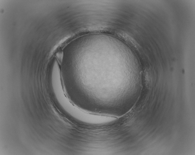 X0000068320684200605192033