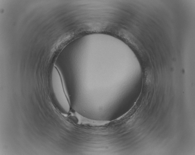 X0000068320685200605192033