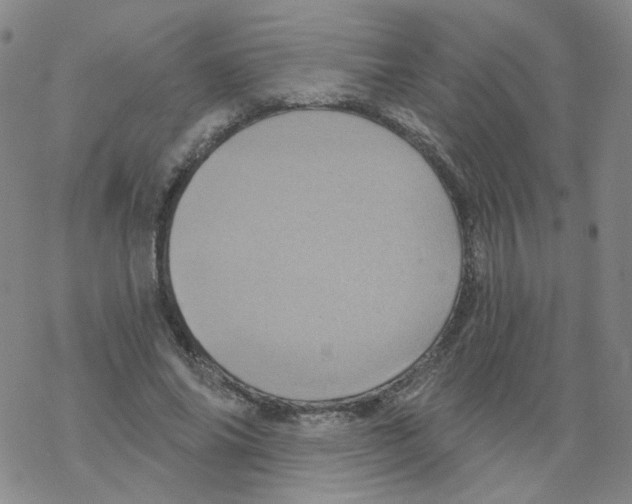 X0000068320686200605192033