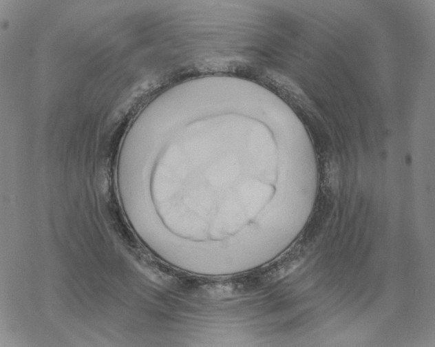 X0000068320687200605192033