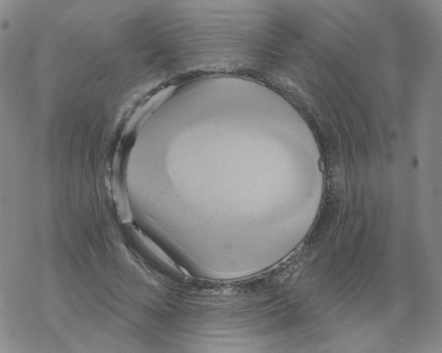 X0000068320688200605192033