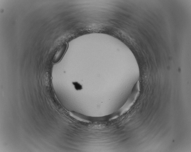 X0000068320689200605192033