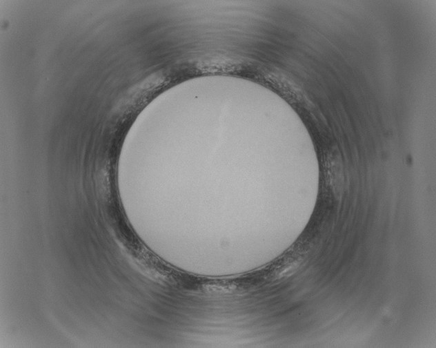 X0000068320690200605192033