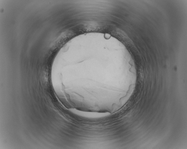 X0000068320691200605192033