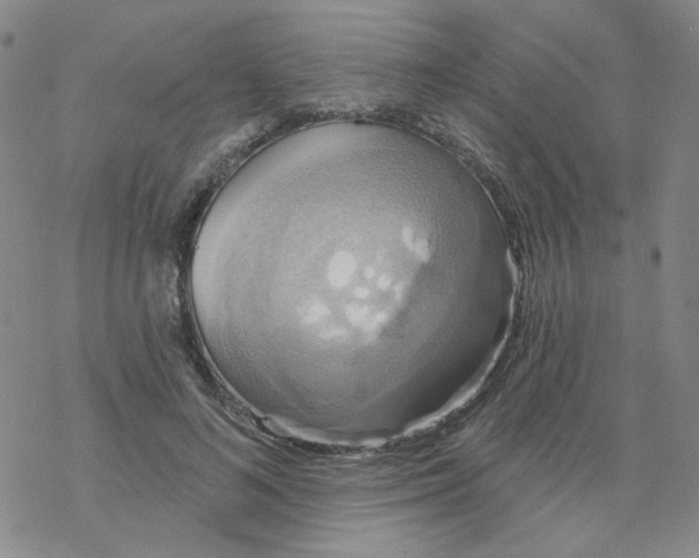 X0000068320692200605192033