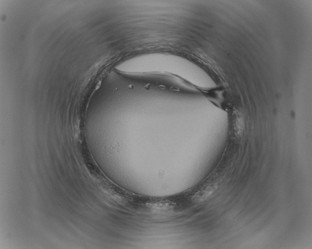 X0000068320693200605192033