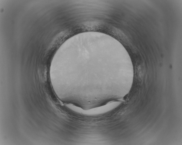 X0000068320694200605192033