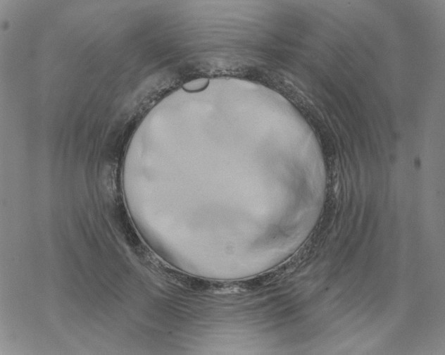 X0000068320695200605192033