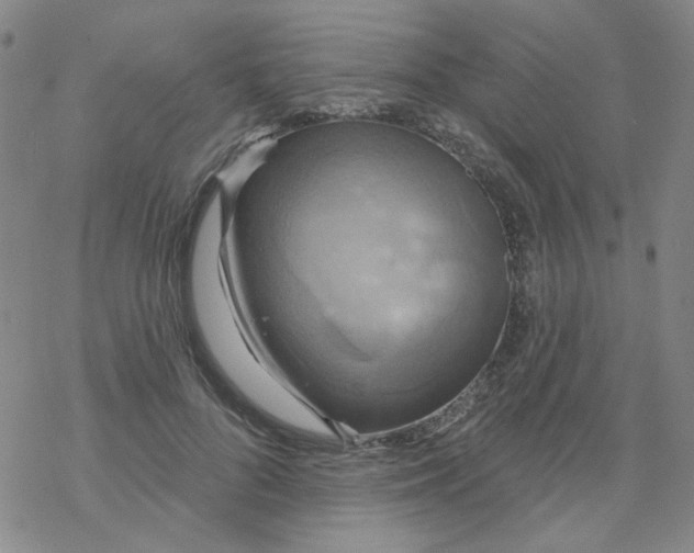 X0000068320696200605192033