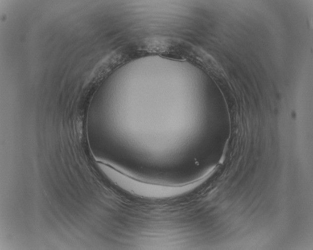 X0000068320697200605192033