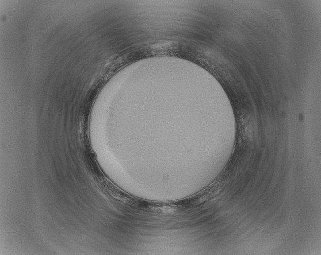 X0000068320698200605192033