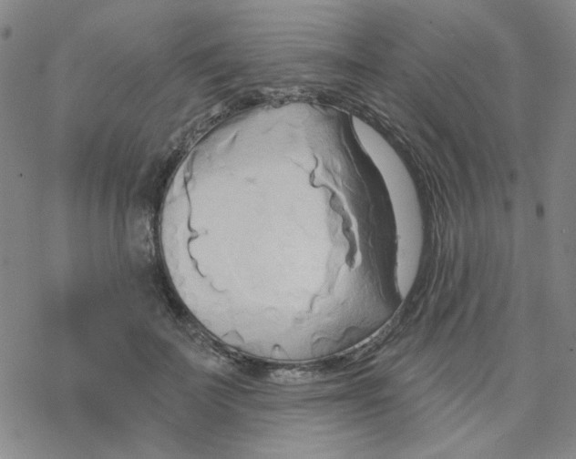 X0000068320699200605192033