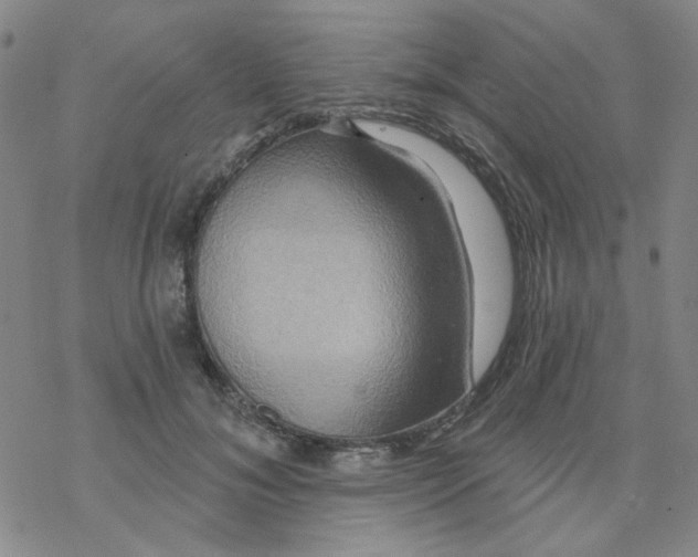 X0000068320700200605192033