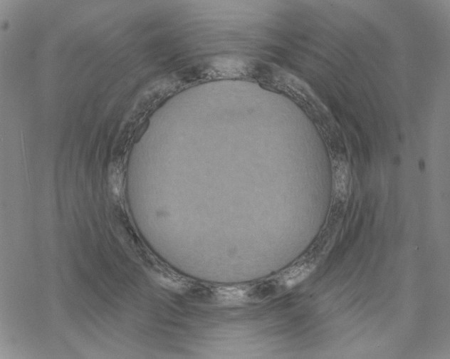 X0000068320701200605192033