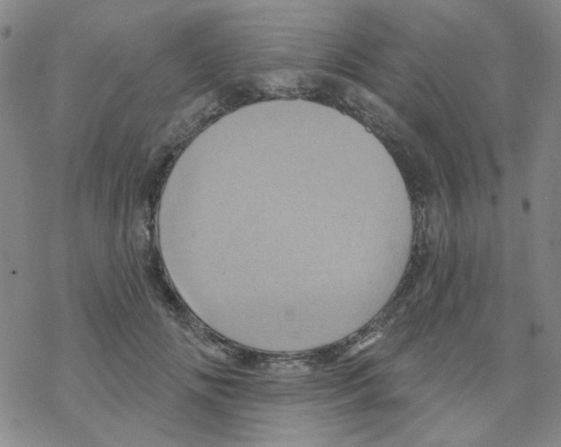 X0000068320702200605192033