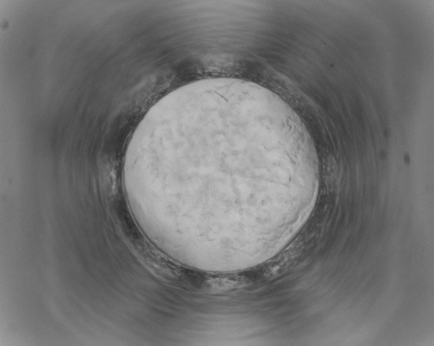 X0000068320703200605192033